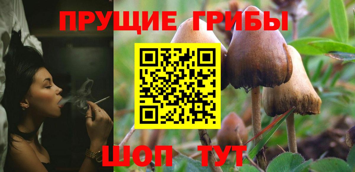 Алатырь  Псилоцибиновые грибы MAGIC MUSHROOMS  Вход с VPN  даркнет сайт  Псилоцибиновые грибы Cubensis 